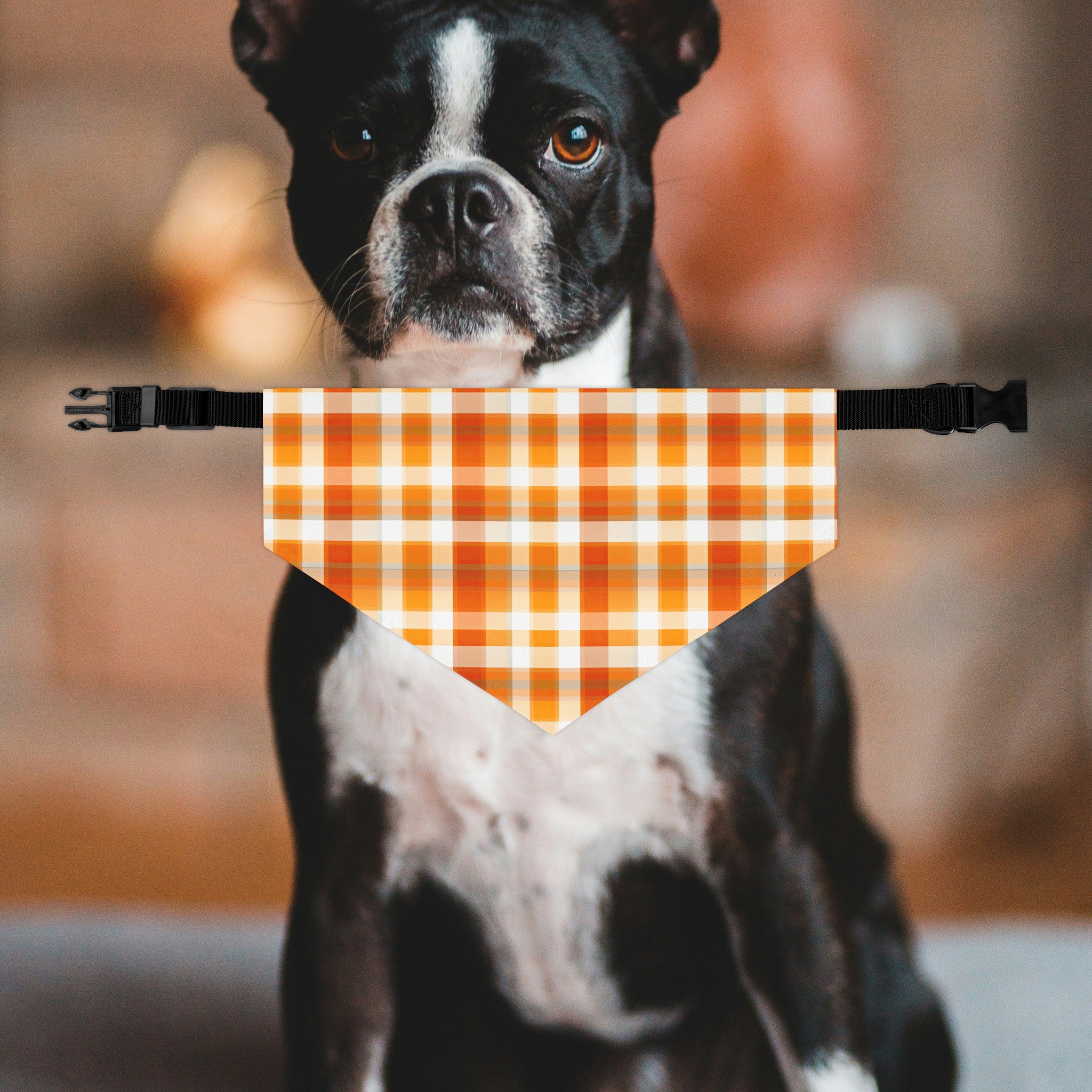Orange Plaid Dog Bandana Collar