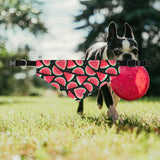 Watermelon Fruit Print Pet Bandana Collar | Cute Dog Accessory for Summer, Pet Gift, Dog Fashion, Adjustable Pet Scarf