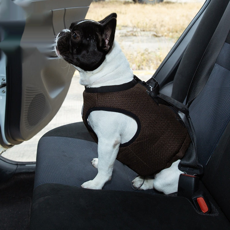Truelove Car Safety Harness Passed Vehicle Crash Test .