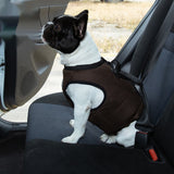 Truelove Car Safety Harness Passed Vehicle Crash Test .