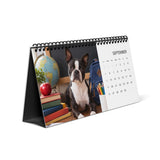 Boston Terrier World 2027 Desktop Calendar .