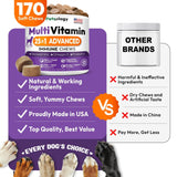 Dog Multivitamin Chewable Dog Vitamins And Supplements With Glucosamine 170 Chews Hip & Joint Immune Support Skin & Coat Gut & Heart Health Senior & Puppy Multivitamin Supplement