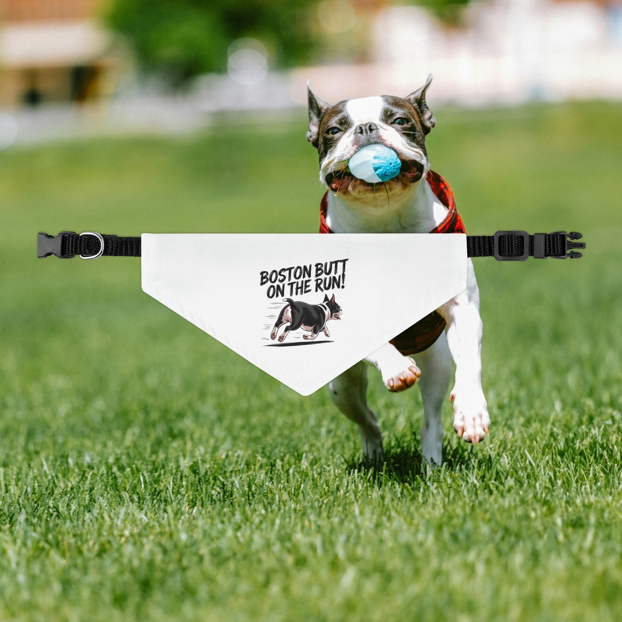 Fun Pet Bandana Collar - 'Boston Butt on the Run!' for Playful Dogs