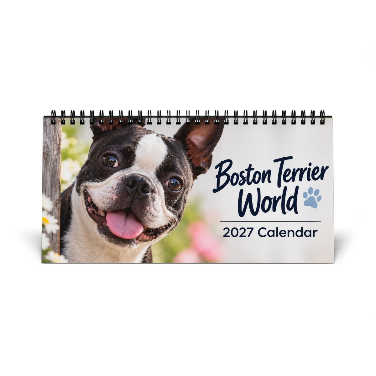 Boston Terrier World 2027 Desktop Calendar .