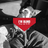 I'm Blind Please Ask To Pet Dog Bandana Collar