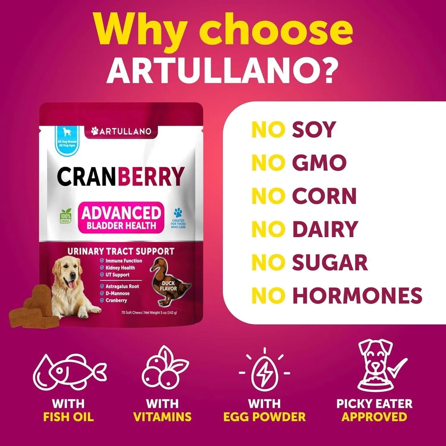 Dog UTI Treatment Cranberry Supplement Bladder Control Urinary Tract Infection Incontinence Pill Bladder Stones UTI Medicine Treats 70 Soft Chews For Kidney Support With Fish Oil