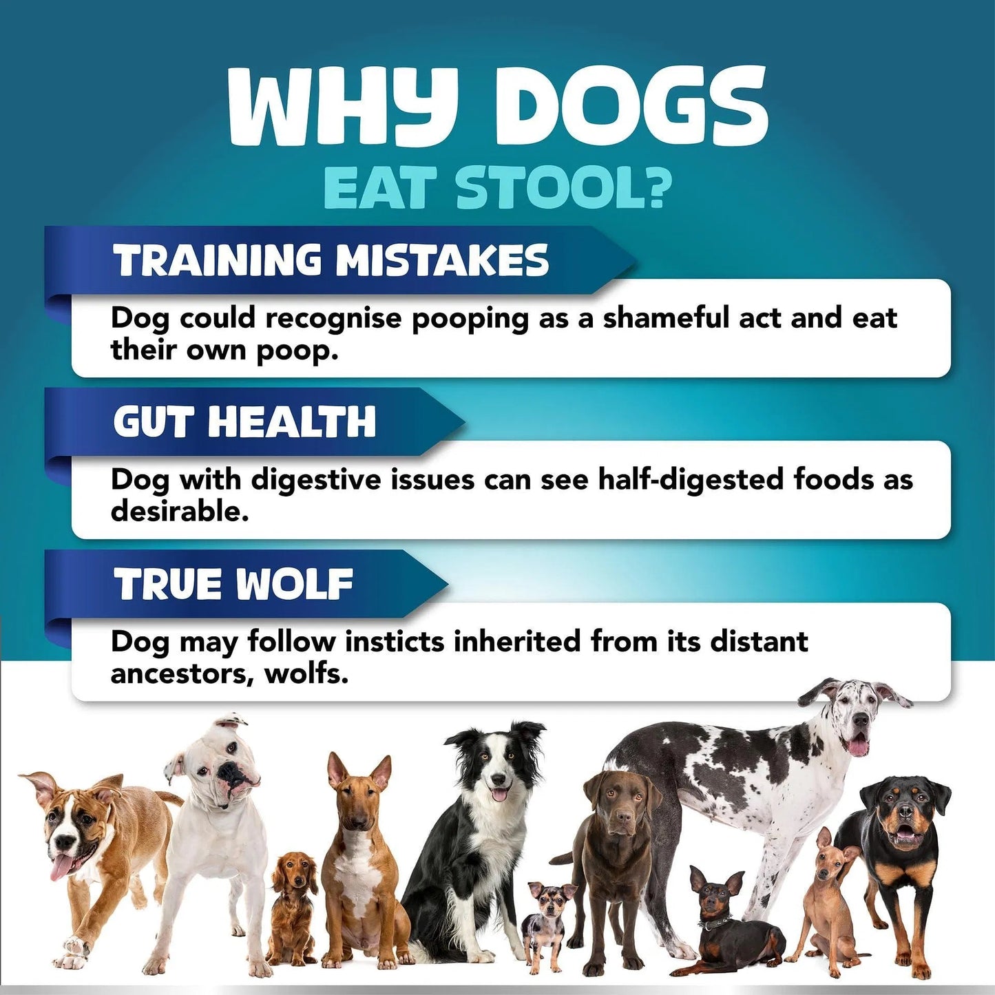 No Poo Chews For Dogs Stop Poop Eating Behavior Probiotics And Digestive Enzymes For Dogs Bad Breath Support Digestive And Gut Health Supplement 180 Soft Chews