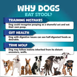 No Poo Chews For Dogs Stop Poop Eating Behavior Probiotics And Digestive Enzymes For Dogs Bad Breath Support Digestive And Gut Health Supplement 180 Soft Chews