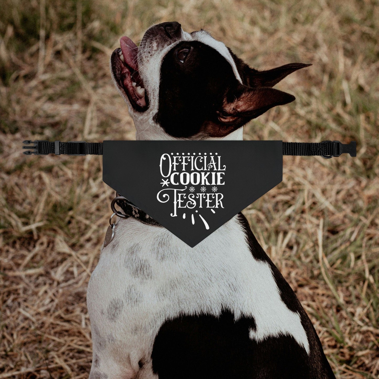 Official Cookie Tester Dog Bandana Collar