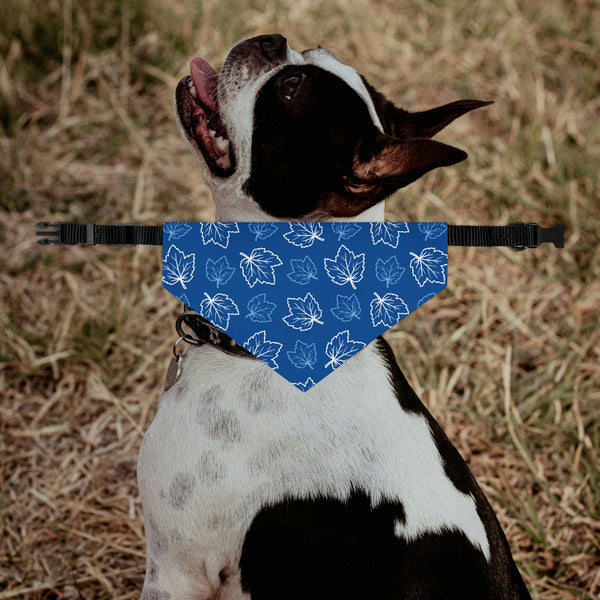 Blue Leaf Dog Bandana Collar