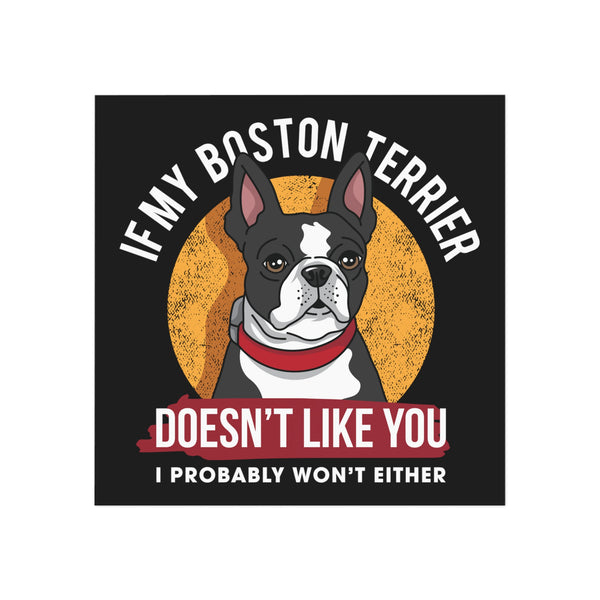 If My Boston Terrier Doesn't Like You I Probably Won't Either Magnet