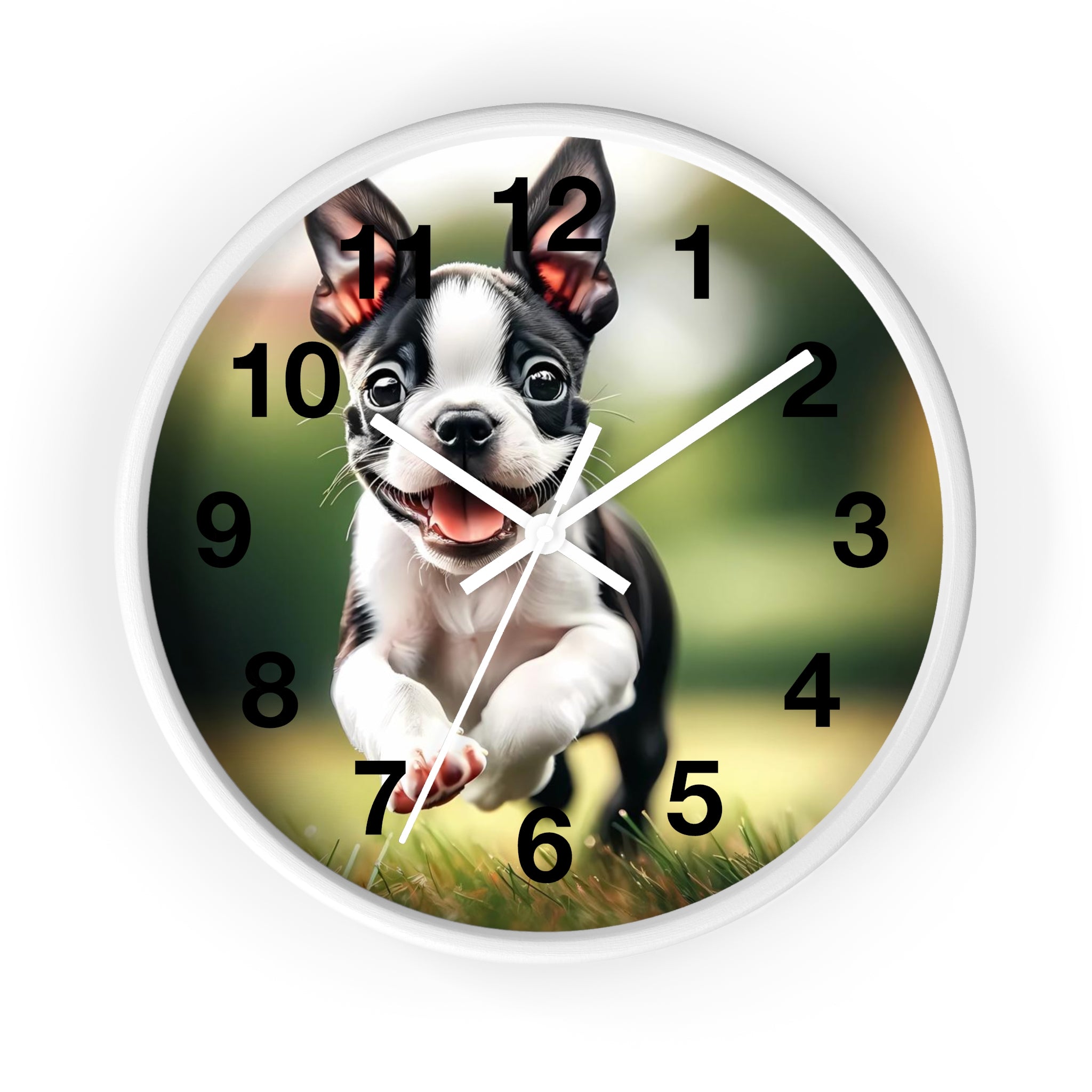 Playful Boston Terrier Puppy Wall Clock