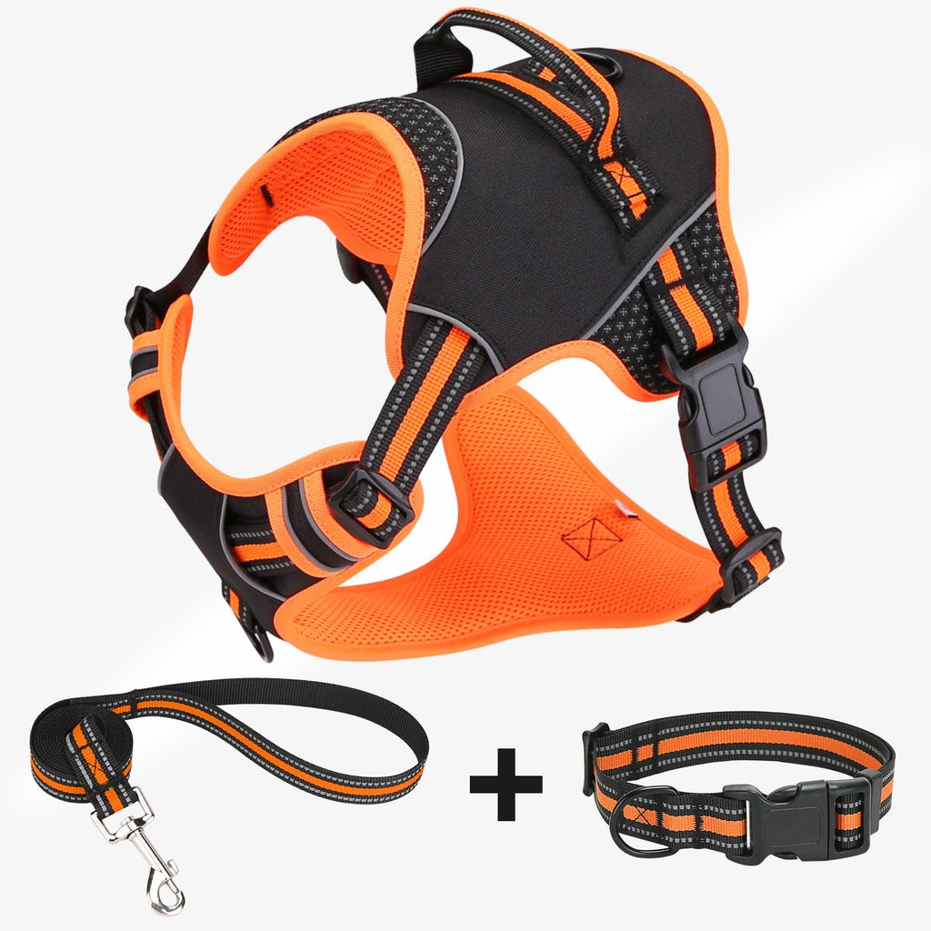 Dog Harness Set with Collar and Leash