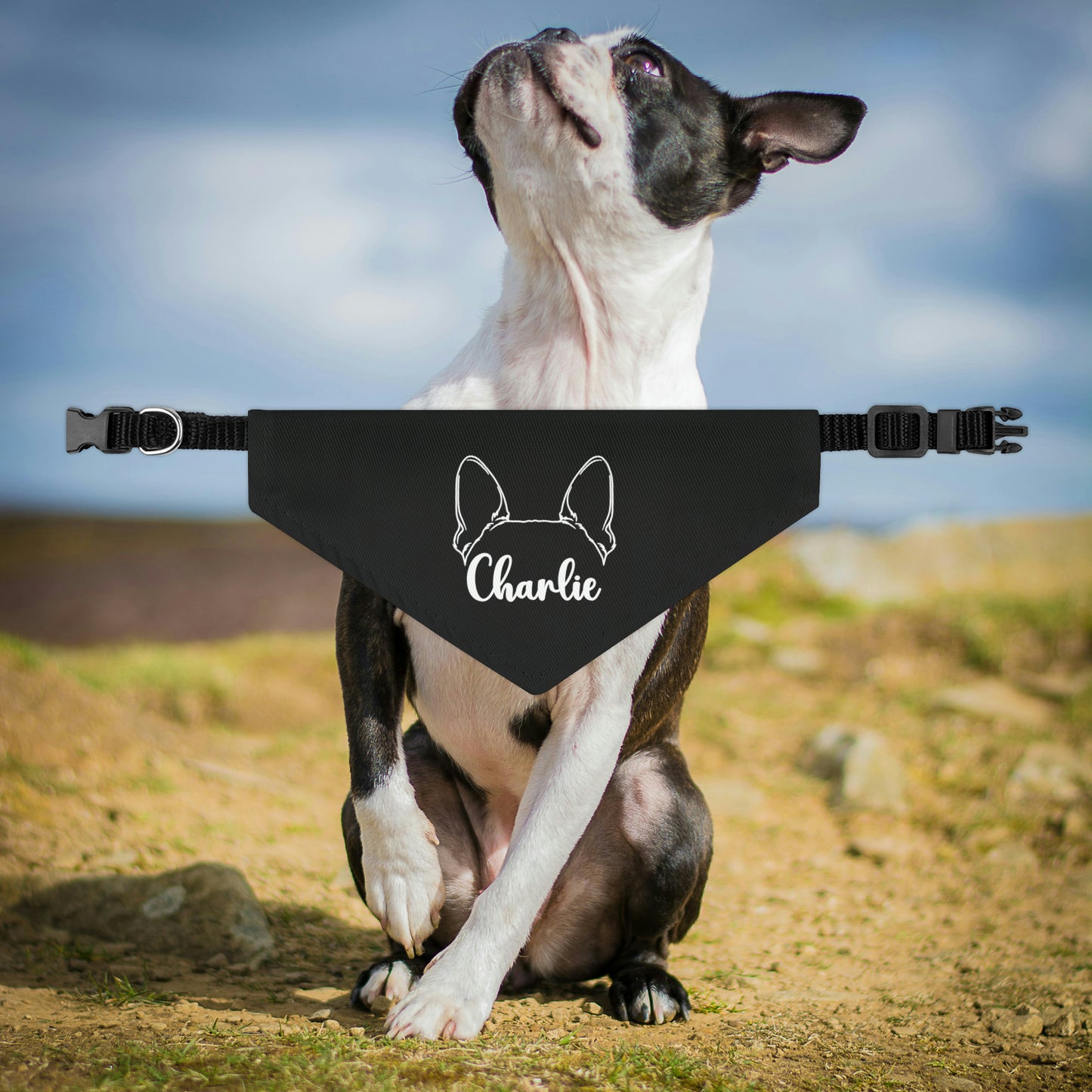 Personalized Dog Bandana Collar - Ears with Dog Name