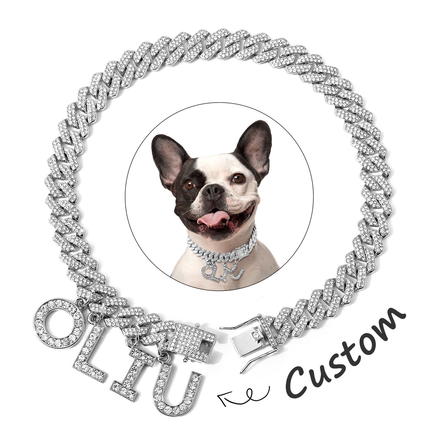 Luxury Alloy Dog Name Chain . Silver