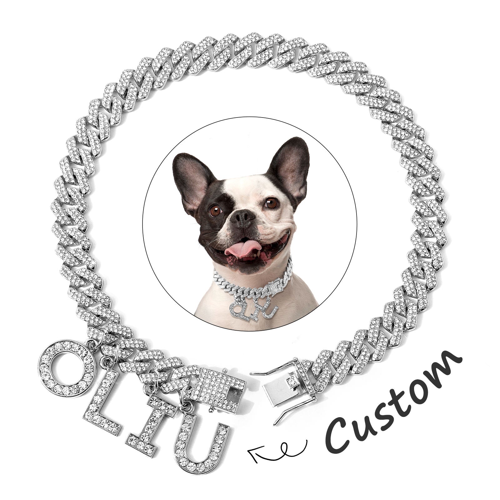 Luxury Alloy Dog Name Chain . Silver