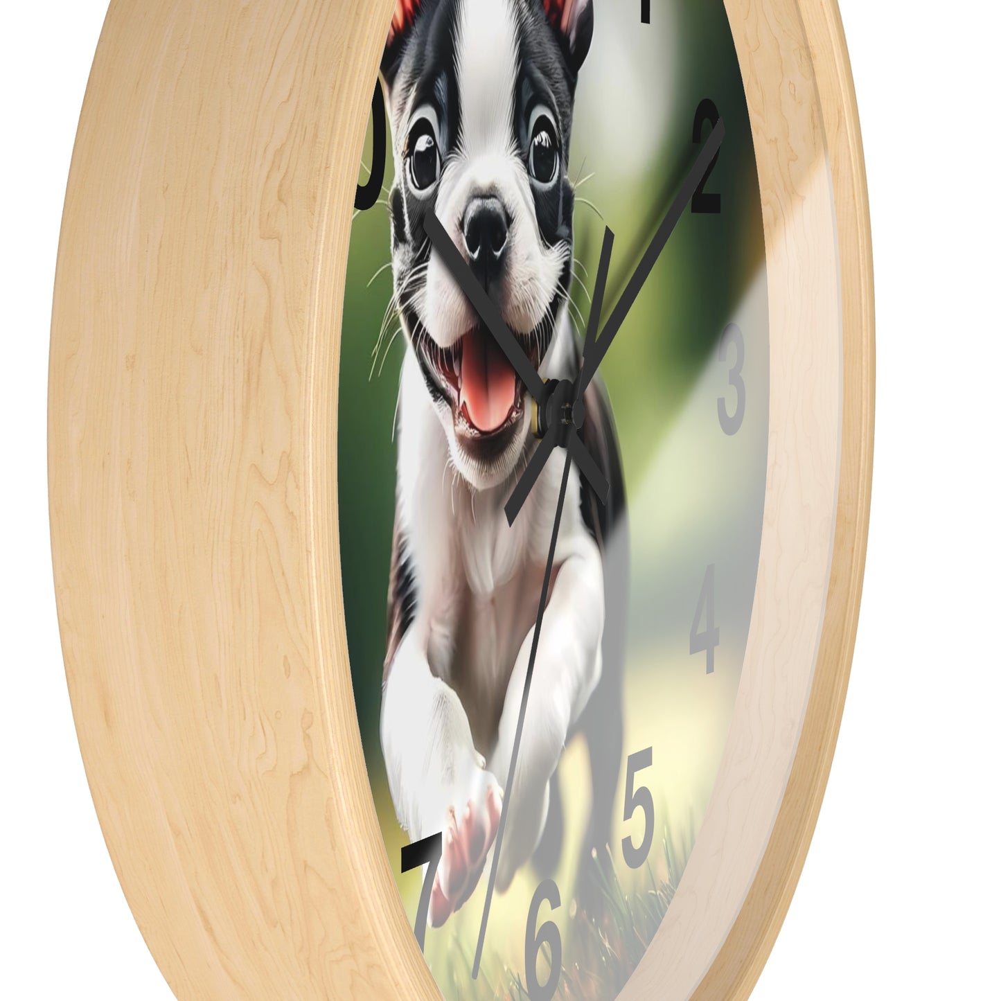 Playful Boston Terrier Puppy Wall Clock
