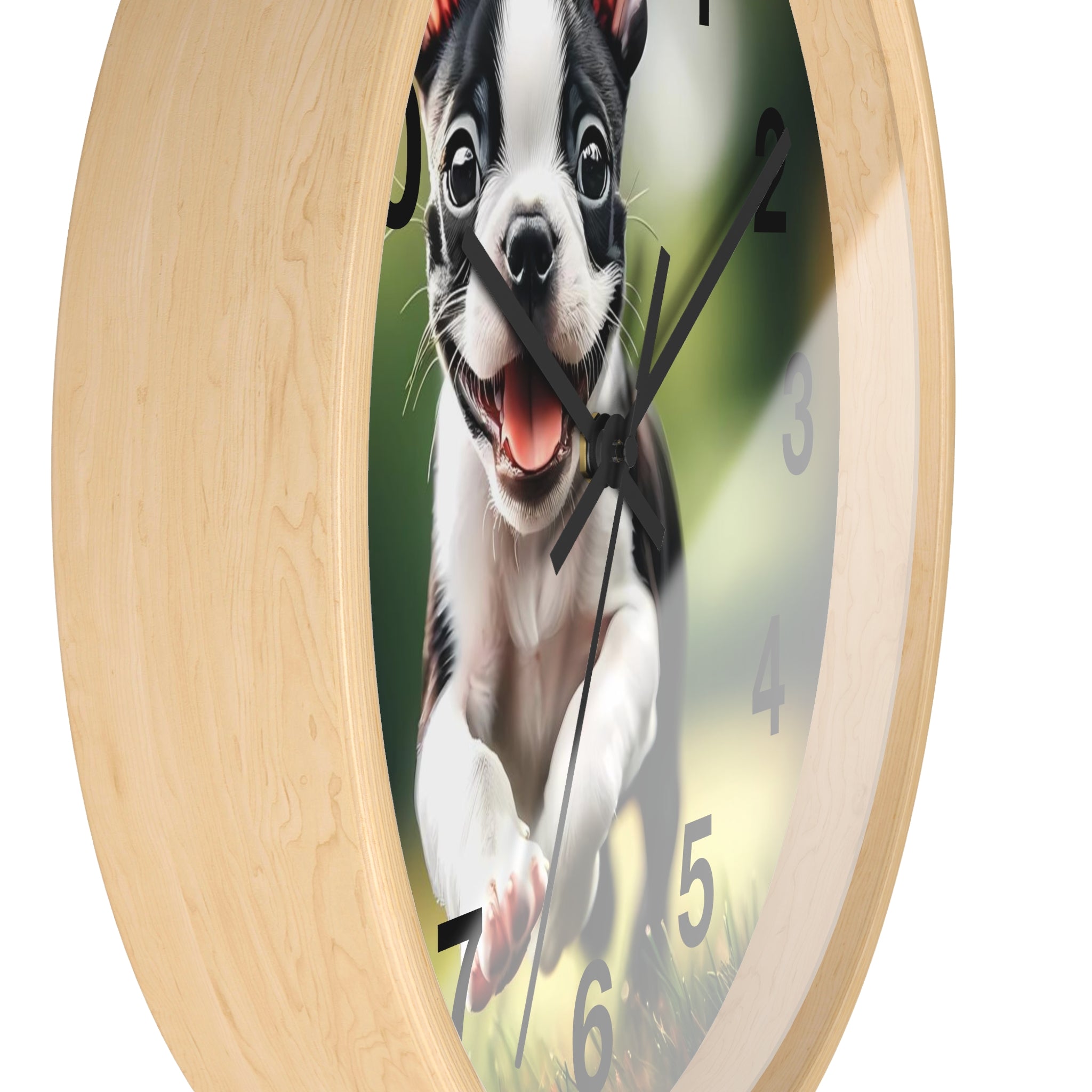 Playful Boston Terrier Puppy Wall Clock
