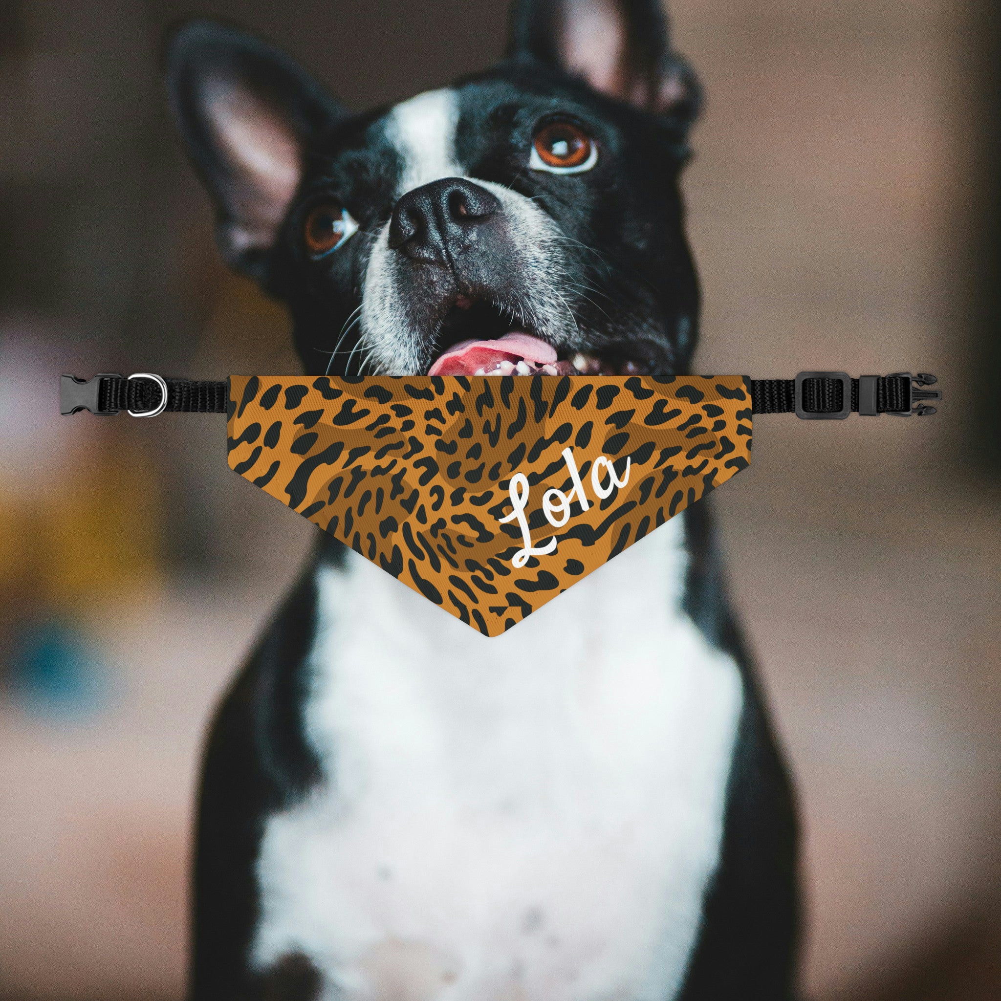 Personalized Leopard Dog Bandana Collar