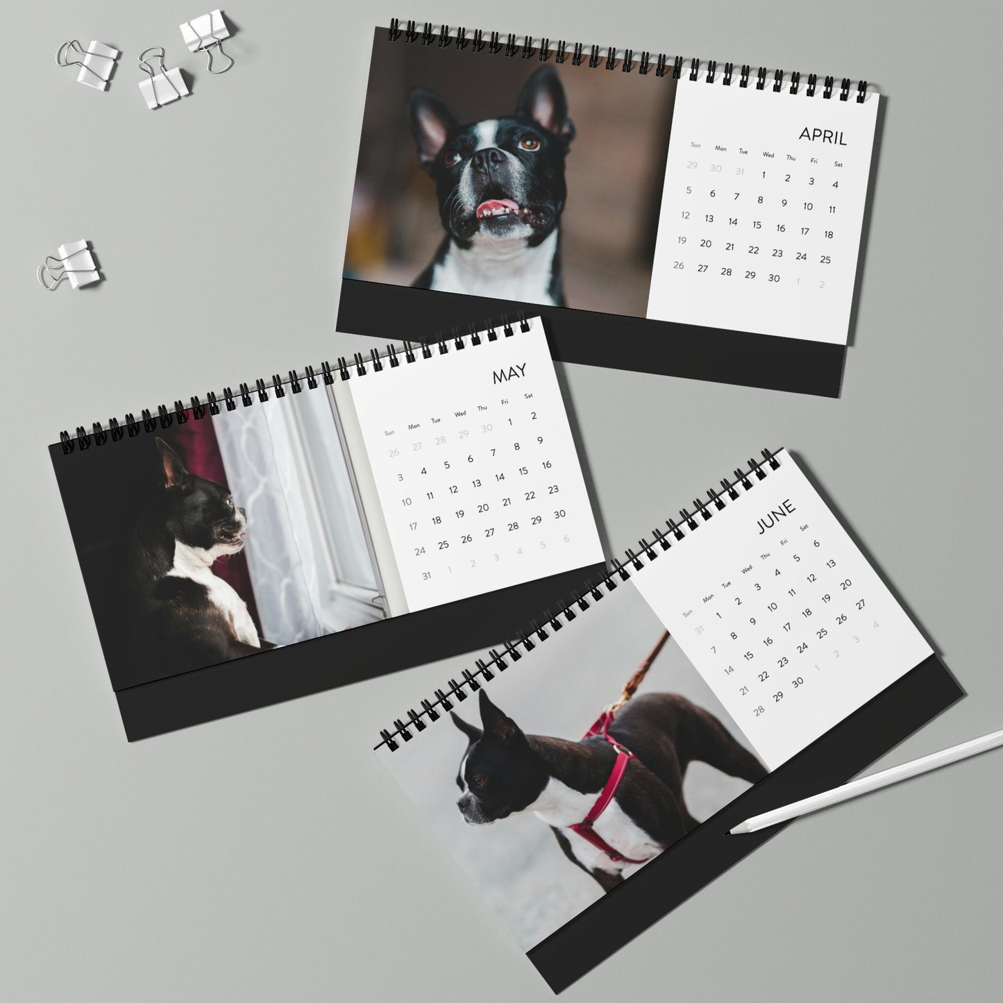 2026 Personalized Desk Calendar with Your Dog's Photos .