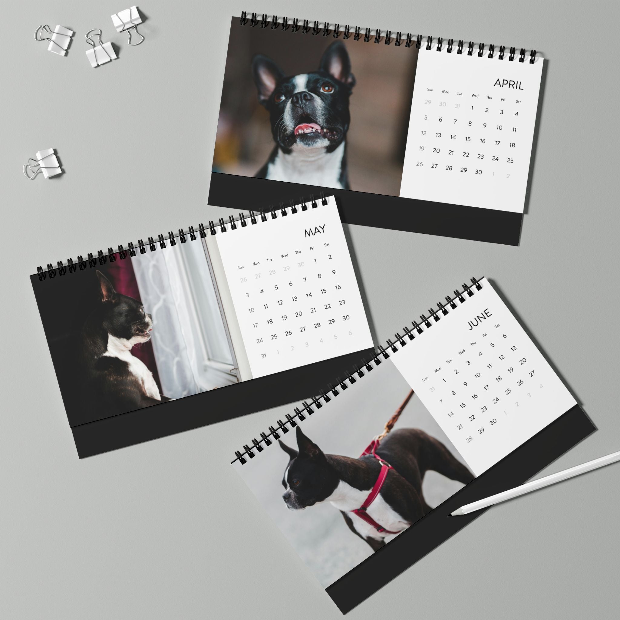 2026 Personalized Desk Calendar with Your Dog's Photos .