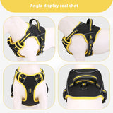 Dog Harness Set with Collar and Leash