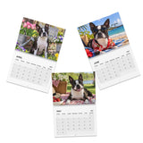 Boston Terrier World 2027 Wall Calendar .
