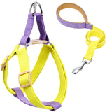 Colored Strap Step-In Dog Harness With Leash Set . Yellow Purple