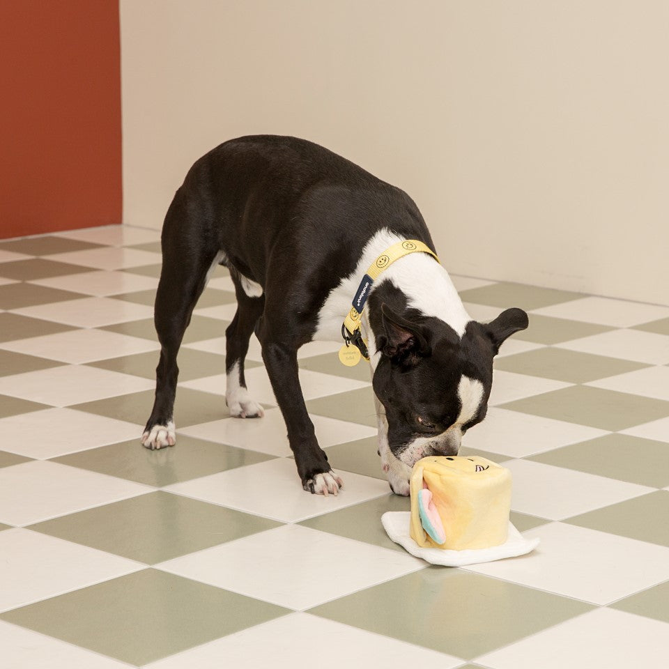 Cake Plush Puzzle Sound Educational Dog Toy
