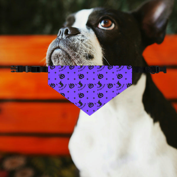 Be Very Afraid Purple and Black Halloween Dog Bandana Collar