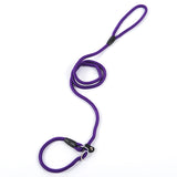 Slip Lead Training Dog Leash
