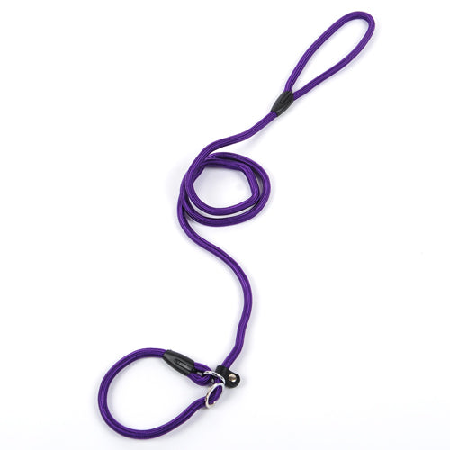 Slip Lead Training Dog Leash