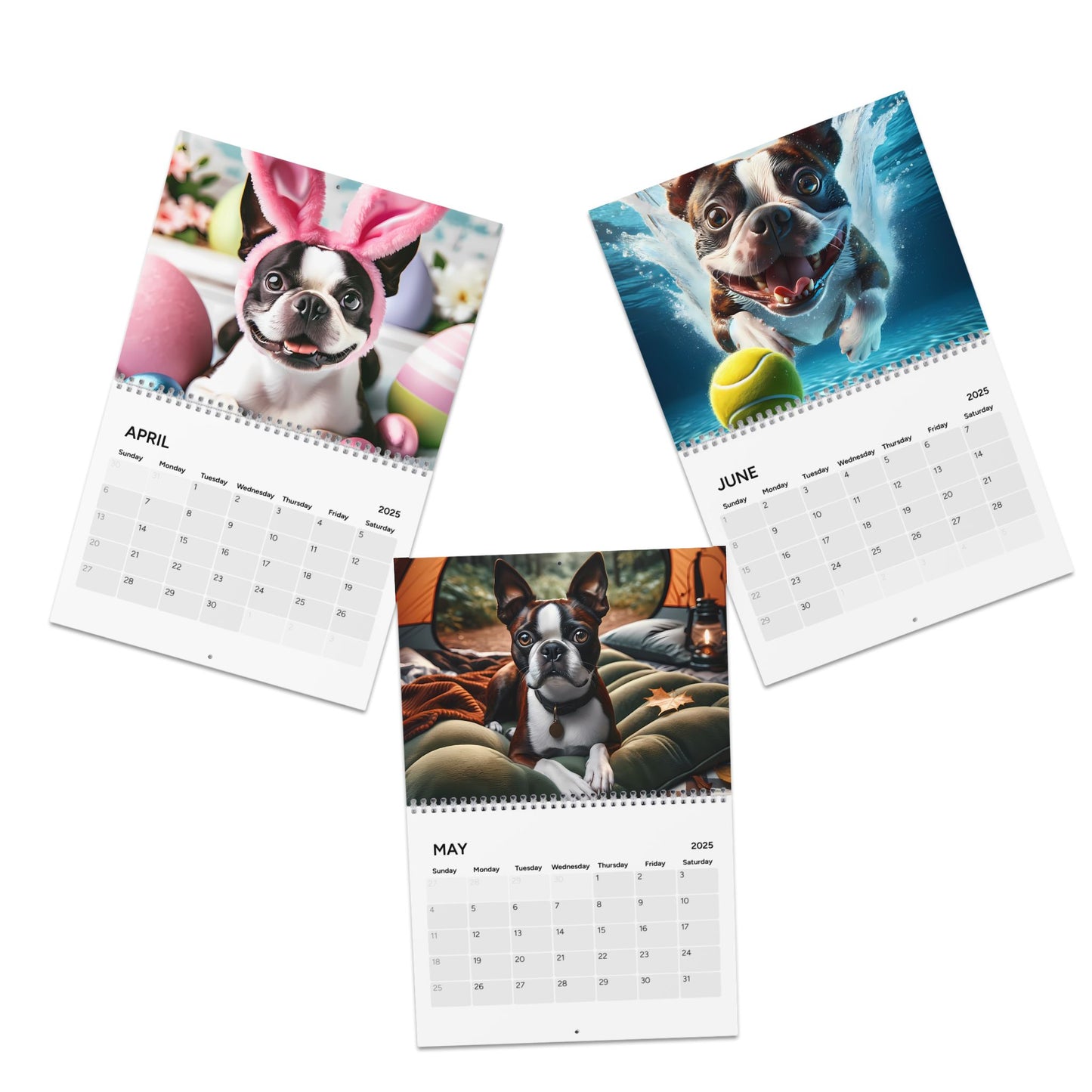 Boston Terrier World Wall Calendar 2025