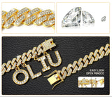 Luxury Alloy Dog Name Chain .