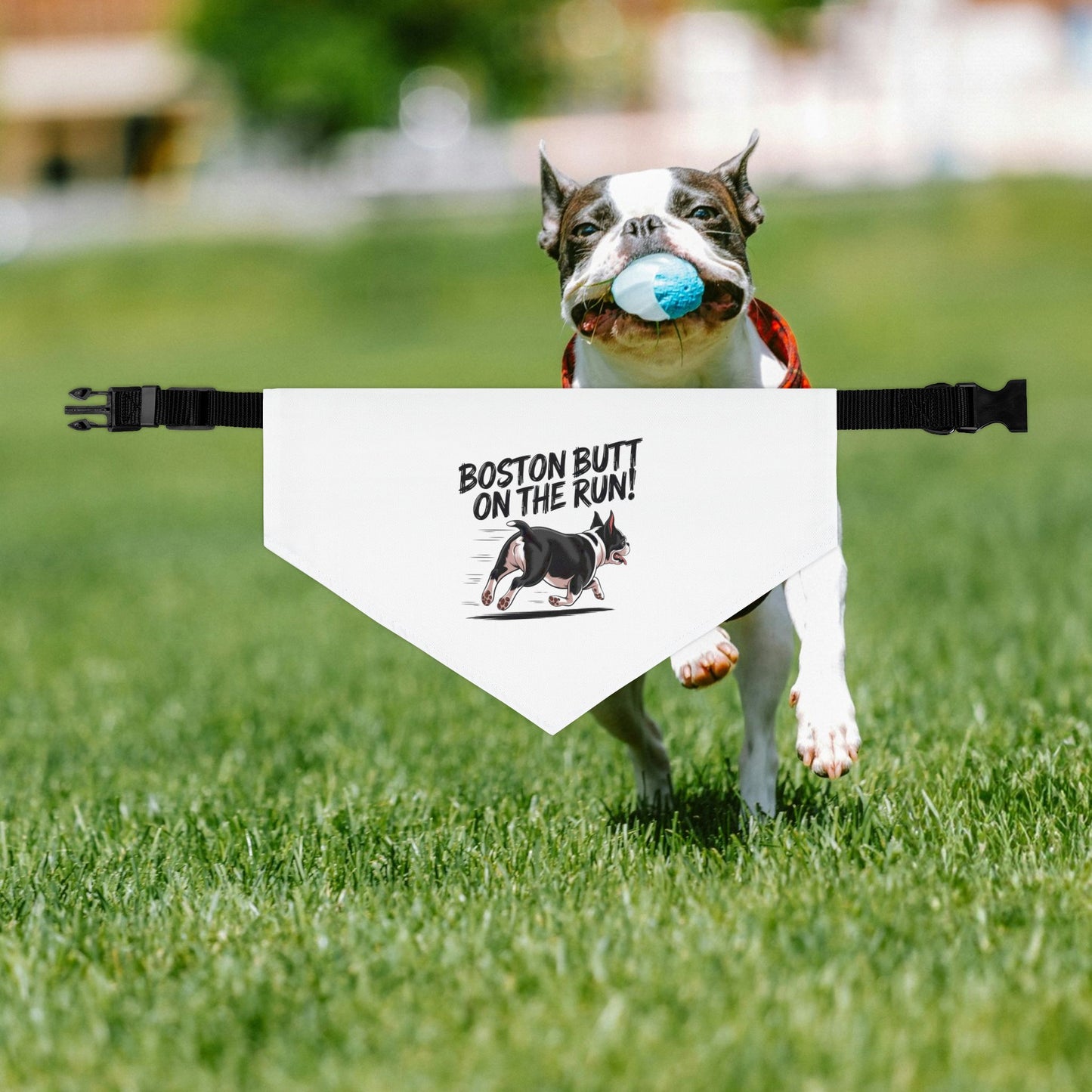 Fun Pet Bandana Collar - 'Boston Butt on the Run!' for Playful Dogs