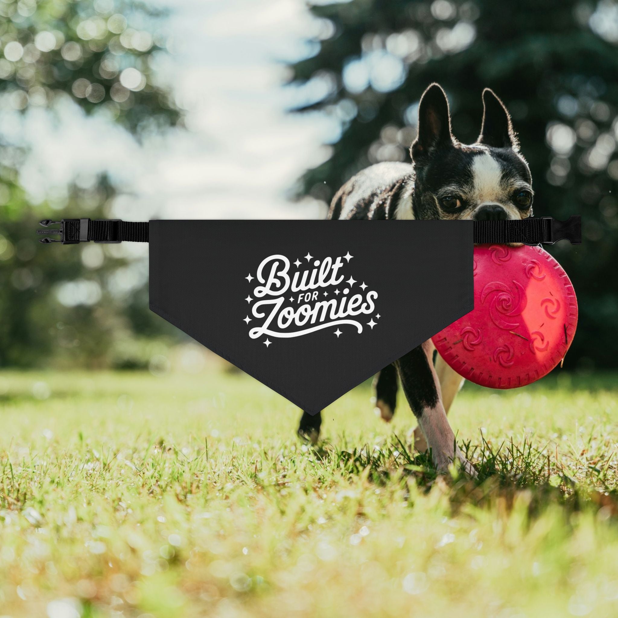 Built for Zoomies Pet Bandana Collar - Fun Adjustable Accessory for Playful Dogs