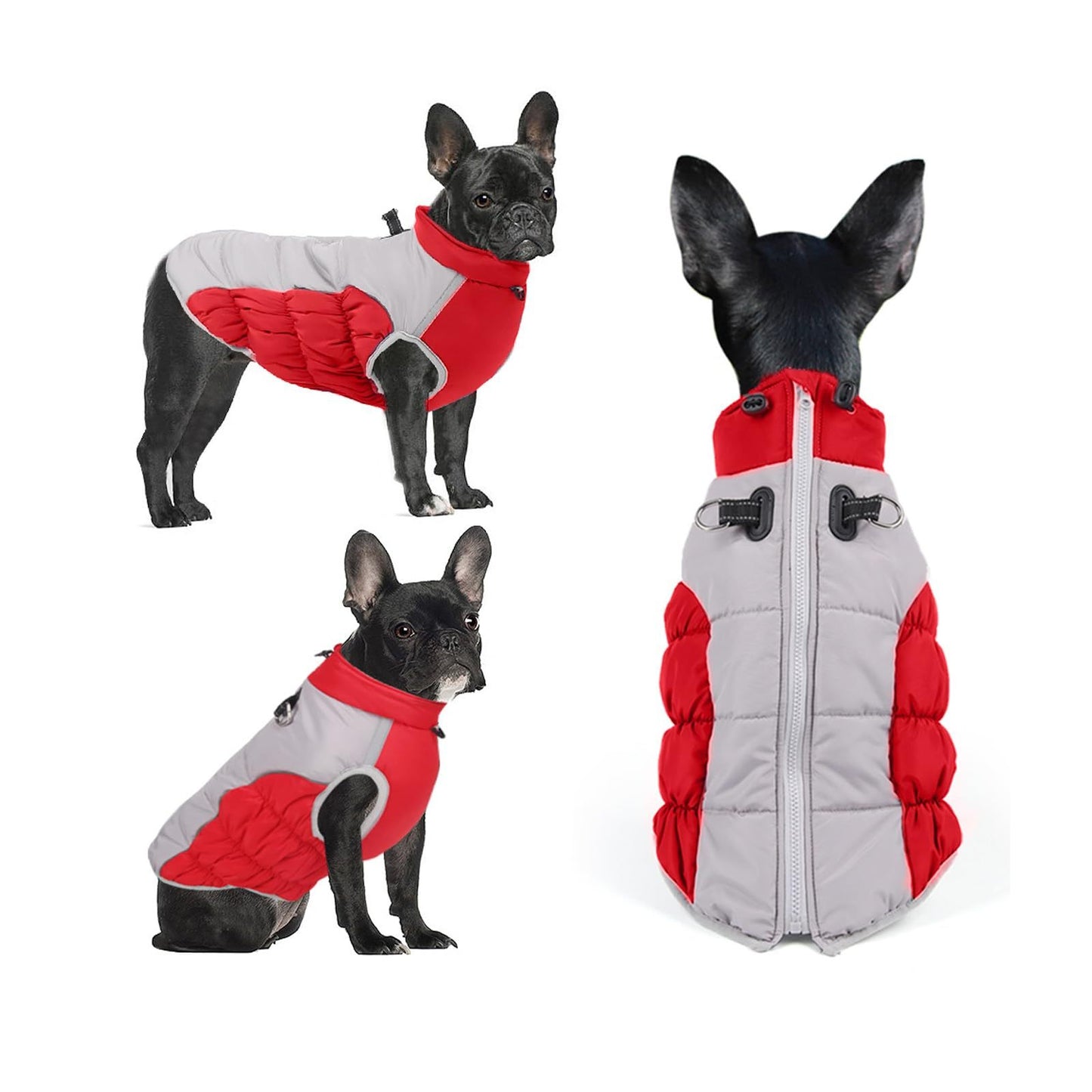 Warm Dog Winter Jacket – Thick Padded Waterproof Coat for Cold Weather