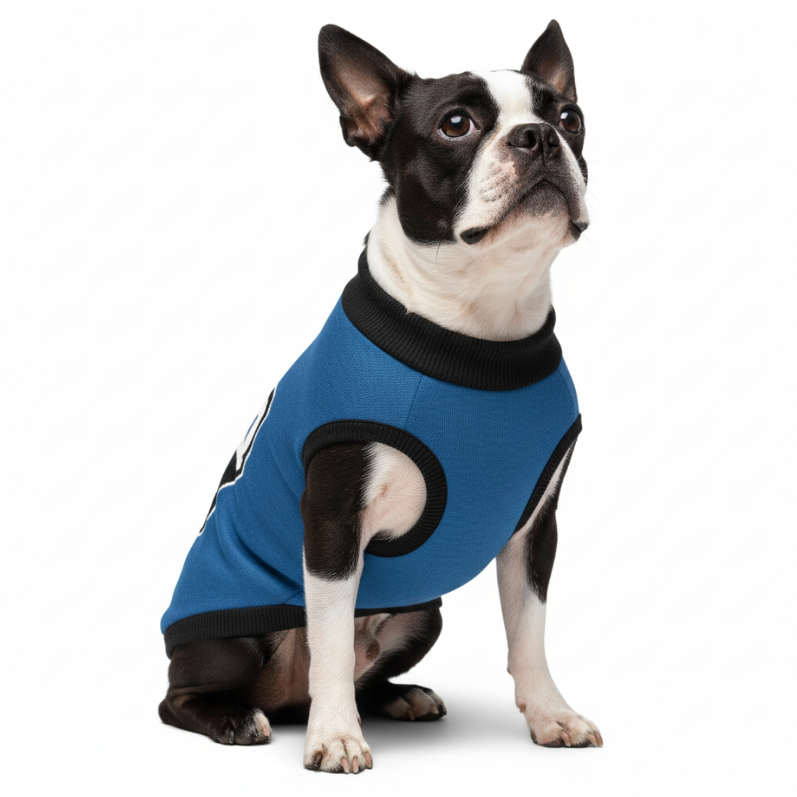 Bostie Face Knitted Dog Sweater - Yale Blue