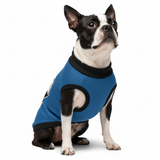 Bostie Face Knitted Dog Sweater - Yale Blue