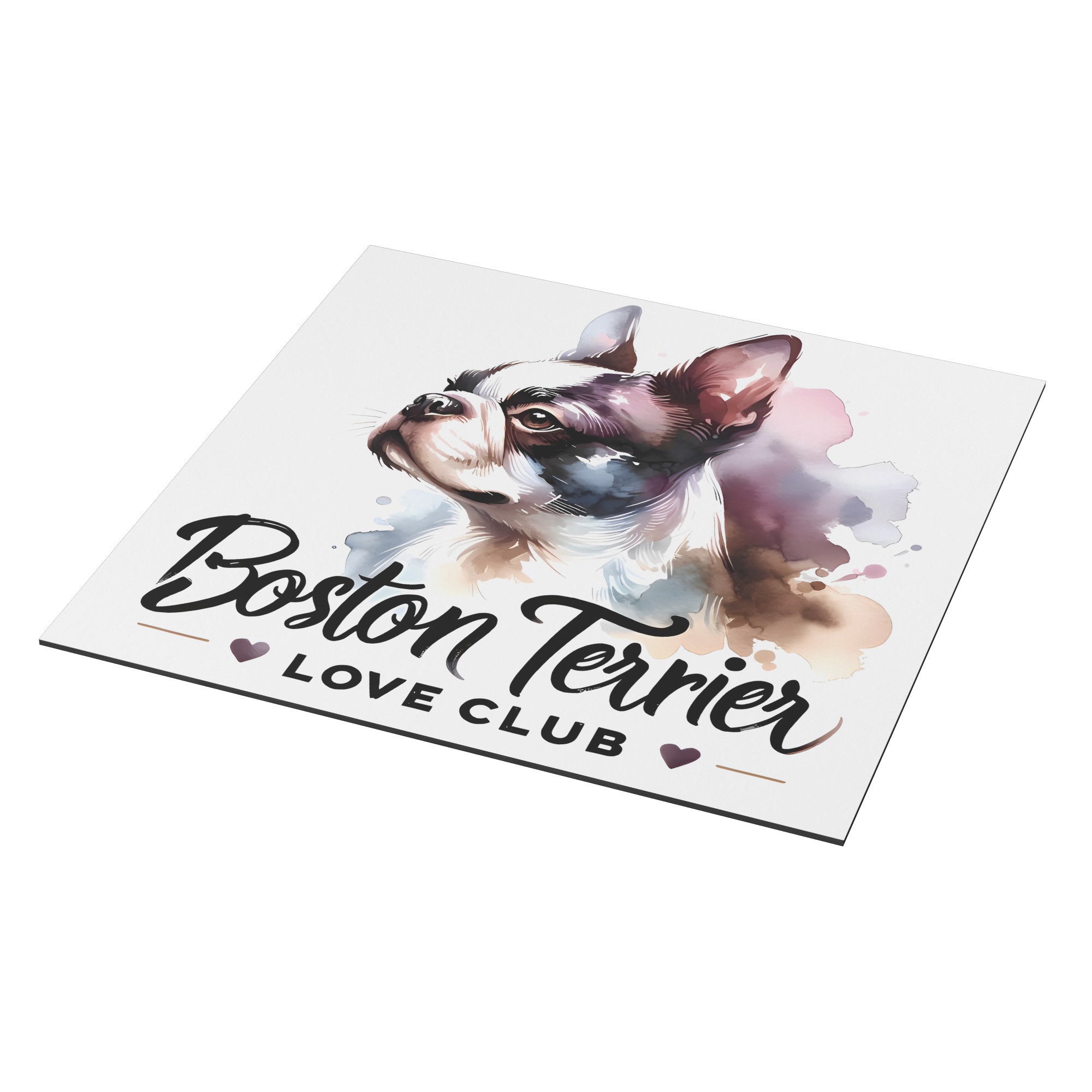 Boston Terrier Love Club Magnet