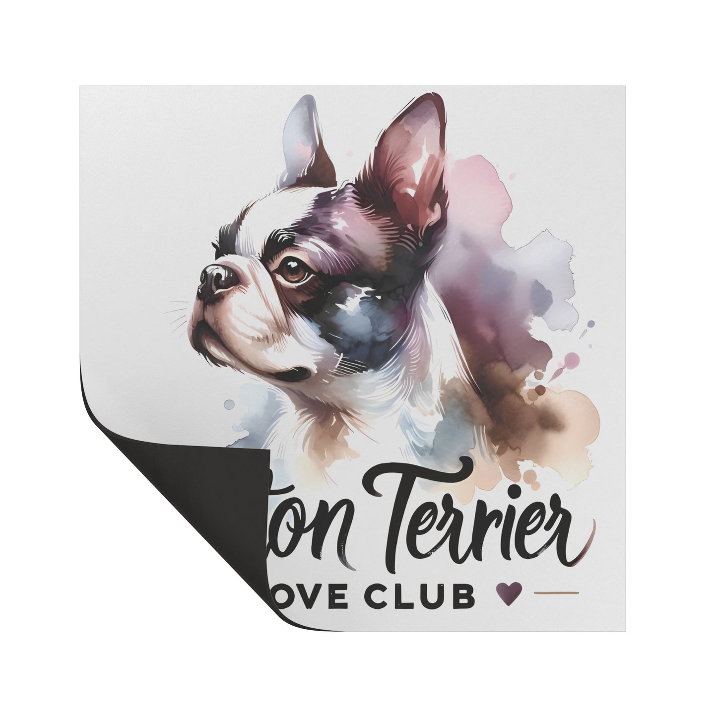 Boston Terrier Love Club Magnet