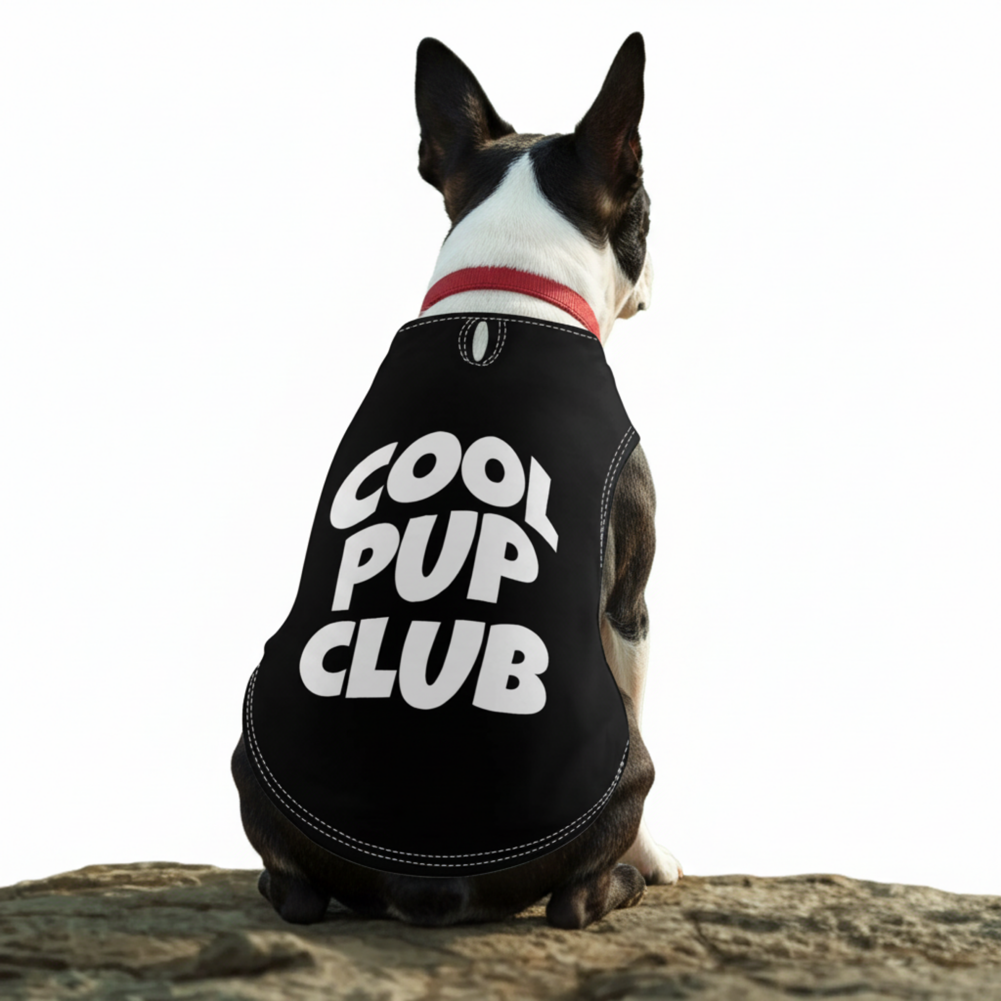 Cool Pup Club Dog Shirts .