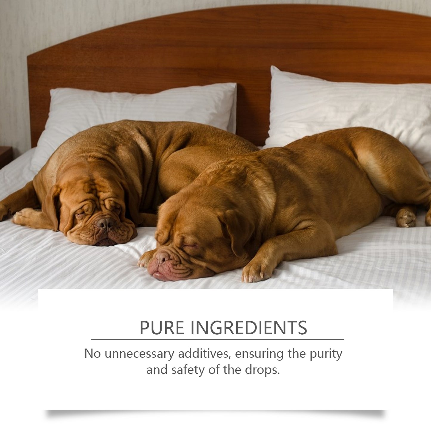 Dog Sleep Drops Pamper Dogs Sleeping At Night Pet Sleep Care Drops Supplement