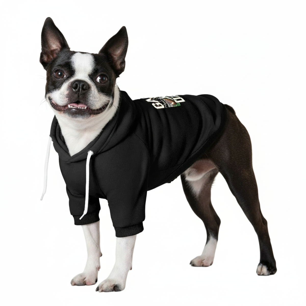 Football Game Day 100% Cotton Dog Fleece Hoodie