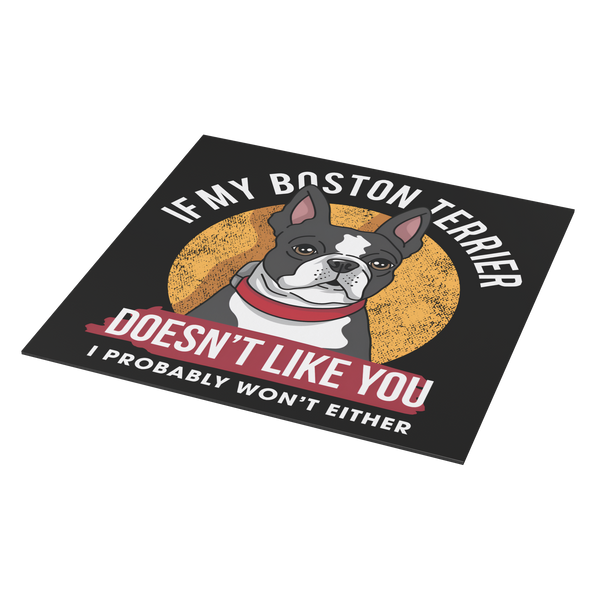 If My Boston Terrier Doesn't Like You I Probably Won't Either Magnet