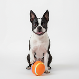 Interactive Dog Toy Wicked Ball Self Moving Intelligent Ball USB