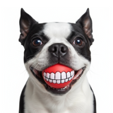 Funny Tooth Dog Ball