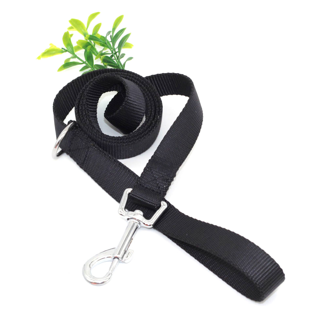 Basic Nylon Dog Leash