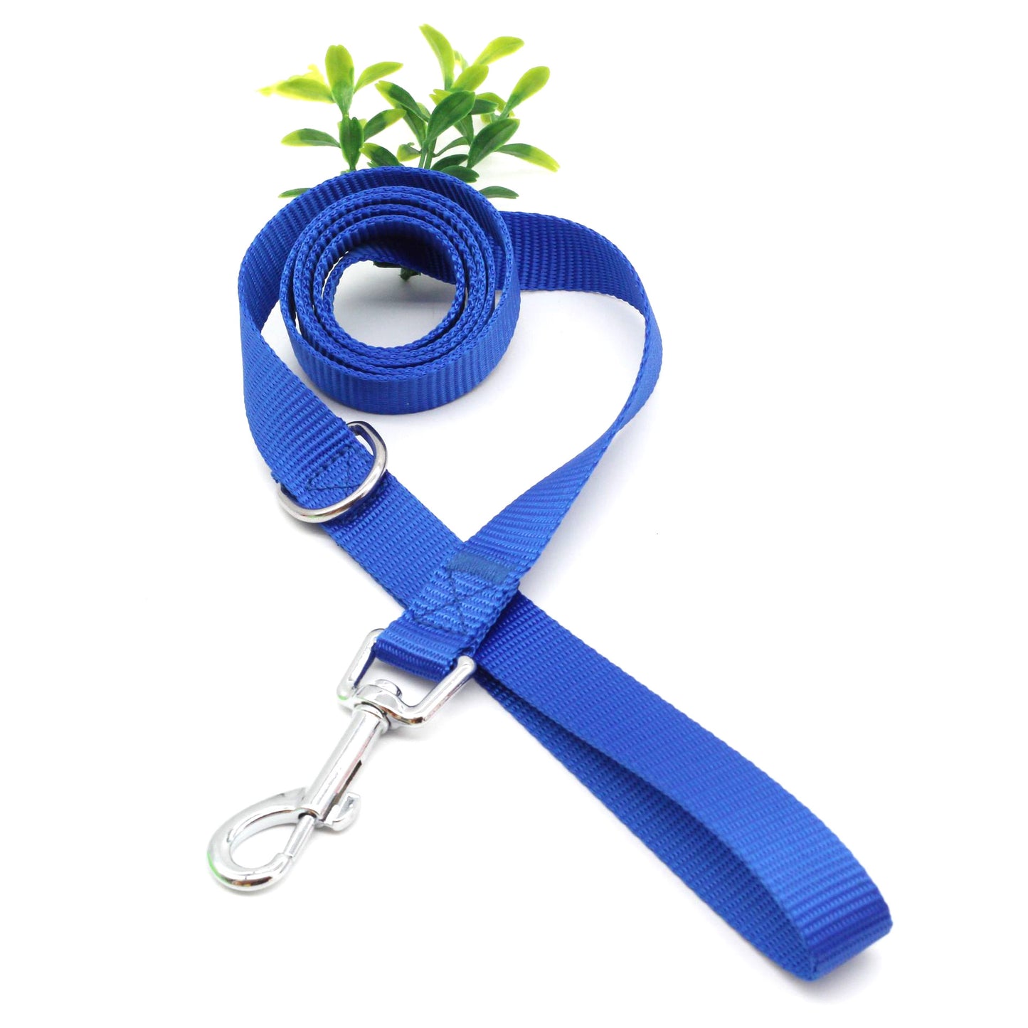 Basic Nylon Dog Leash