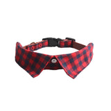 Gentleman Dog Collar Detachable